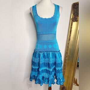 Bebe Cornflower Cottage Peasant Core Fit & Flare Mesh Detail Ruffle Hem Dress